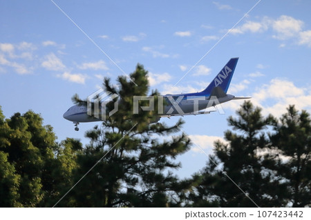 Takeoff and landing of an airliner 107423442