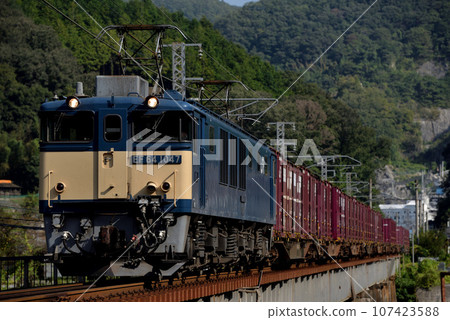 EF641047 container freight train that runs on the line 107423588