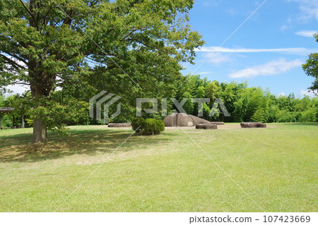 View of Lake Shinji Fureai Park 107423669