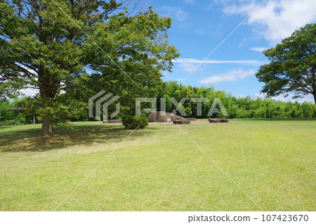 View of Lake Shinji Fureai Park 107423670