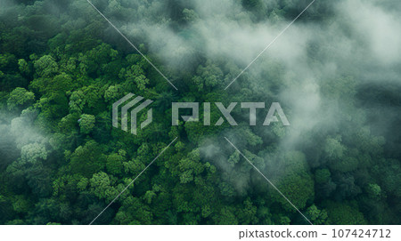 從上方看到的霧氣籠罩的森林景色“人工智慧生成的圖像” 107424712