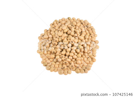 Soybeans isolated on white background 107425146