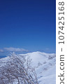 Hokkaido backcountry, looking at the Niseko Federation from Chisenupuri 107425168