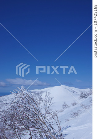 北海道邊遠地區,從 Chisenupuri 眺望新雪谷聯邦 北海道邊遠地區,從 Chisenupuri 眺望新雪谷聯邦 107425168