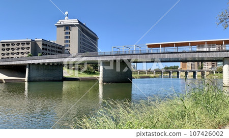 櫻木大橋和愛知縣西三川總廳舍<乙川河床/愛知縣岡崎市> 107426002