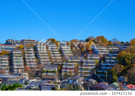 View of an apartment building on the slope of Takaishi 5-chome, Asao Ward, Kawasaki City, Kanagawa Prefecture during autumn leaves 107427230