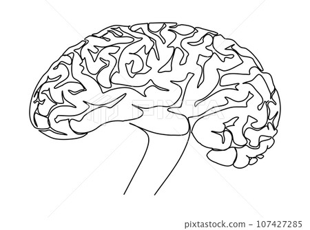 The human brain. One line drawing vector illustration. The human brain. One line drawing vector illustration. 107427285