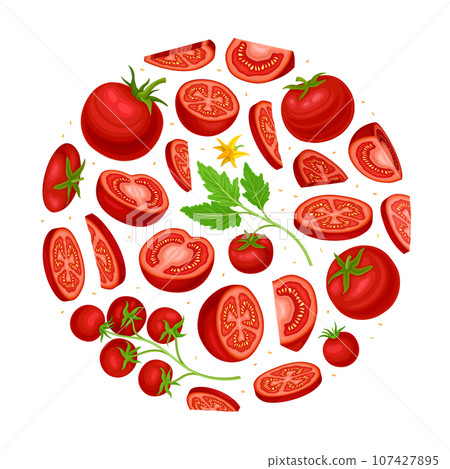Fresh Red Tomato Vegetable Round Composition Vector Template Fresh Red Tomato Vegetable Round Composition Vector Template 107427895