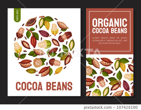 Cocoa Bean Banner Design with Brown Pod and Green Leaf Vector Template 107428100