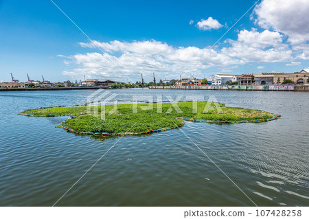 Green flowers Flor de la vida in the port of La Boca at Buenos Aires, Argentina Green flowers Flor de la vida in the port of La Boca at Buenos Aires, Argentina 107428258