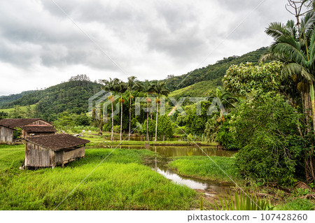 Green fields and meadows in the countryside of Pomerode, Santa Catarina in Brazil 107428260
