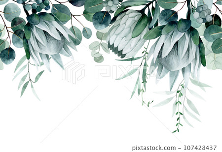 watercolor drawing. seamless border with tropical flowers and leaves. protea flowers and eucalyptus leaves 107428437