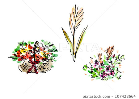 用水性筆和透明水彩繪製的潘帕斯草和秋插花插圖集 用水性筆和透明水彩繪製的潘帕斯草和秋插花插圖集 107428664
