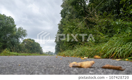 Autumn's Embrace: Low-Angle Road View Autumn's Embrace: Low-Angle Road View 107428720