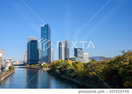 Autumn leaves looking at Osaka Business Hark from Osaka Bridge Autumn leaves looking at Osaka Business Hark from Osaka Bridge 107428749