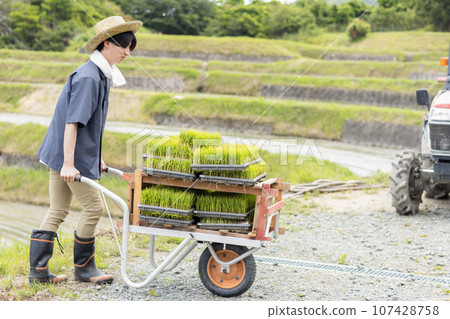 Agriculture Farmer Young Male Agriculture Farmer Young Male 107428758