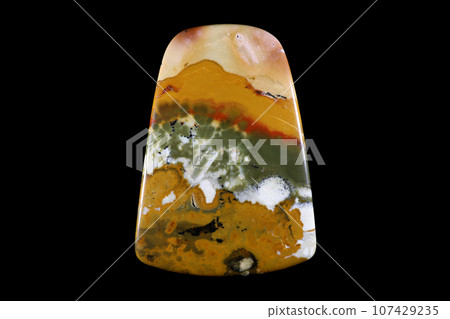 Owyhee Jasper-承載風景的石頭 Owyhee Jasper-承載風景的石頭 107429235