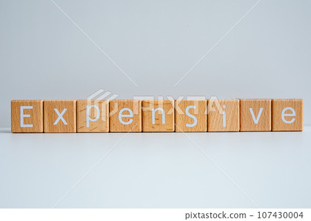 Wooden blocks form the text "Expensive" against a white background. Wooden blocks form the text "Expensive" against a white background. 107430004