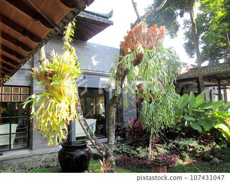 日惹, 爪哇, 印度尼西亞的度假酒店 107431047