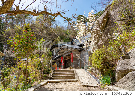 山形縣山形市，立石寺內有觀世音菩薩和白玉蘭的華藏院，俗稱山寺 107431360