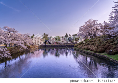 山形縣米澤市,米澤城遺址護城河,春天櫻花盛開 山形縣米澤市,米澤城遺址護城河,春天櫻花盛開 107431387