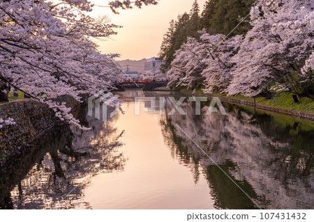 山形縣米澤市,米澤城遺址護城河,春天櫻花盛開 山形縣米澤市,米澤城遺址護城河,春天櫻花盛開 107431432