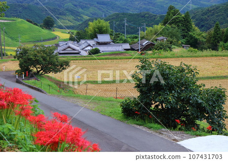 Countryside landscape in autumn 107431703