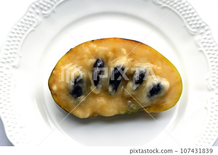 Pawpaw, fruit native to North America Pawpaw, fruit native to North America 107431839
