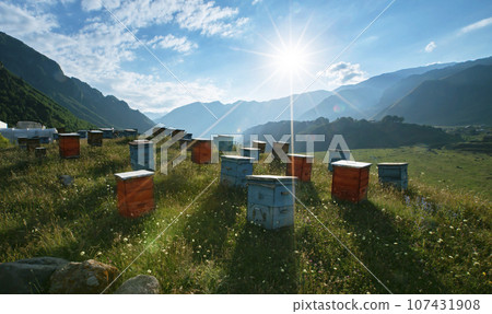 Wooden beehives against the backdrop of a mountain landscape. Wooden beehives against the backdrop of a mountain landscape. 107431908