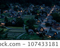 Shirakawago夜景 107433181