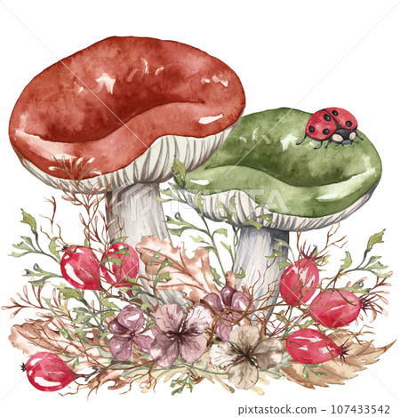 Watercolor autumn composition in vintage style. Hand painted wild mushrooms with dried leaves and twigs. Forest composition Watercolor autumn composition in vintage style. Hand painted wild mushrooms with dried leaves and twigs. Forest composition 107433542