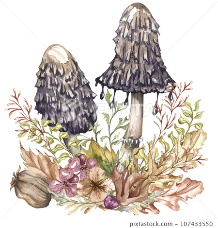 Watercolor autumn composition in vintage style. Hand painted wild mushrooms with dried leaves and twigs. Forest composition Watercolor autumn composition in vintage style. Hand painted wild mushrooms with dried leaves and twigs. Forest composition 107433550