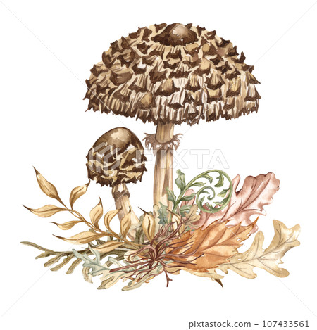 Watercolor autumn composition in vintage style. Hand painted wild mushrooms with dried leaves and twigs. Forest composition 107433561