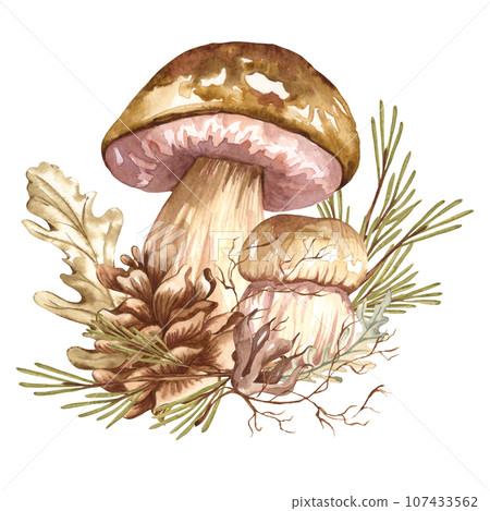 Watercolor autumn composition in vintage style. Hand painted wild mushrooms with dried leaves and twigs. Forest composition Watercolor autumn composition in vintage style. Hand painted wild mushrooms with dried leaves and twigs. Forest composition 107433562