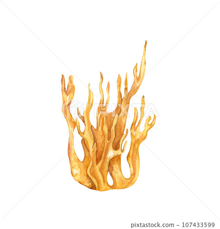 Watercolor edible mushrooms set, isolated on white background. Autumn foraging illustration. 107433599