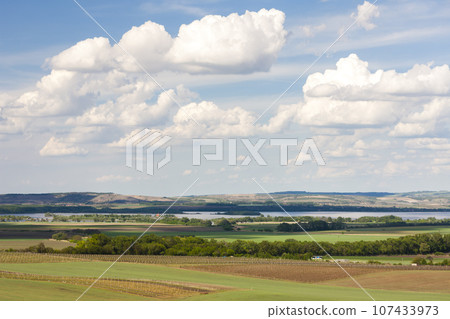 vineyards, Palava, Moravia region, Czech Republic vineyards, Palava, Moravia region, Czech Republic 107433973