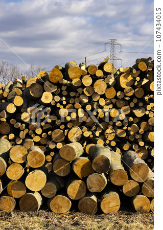 wooden logs on the open air wooden logs on the open air 107434015