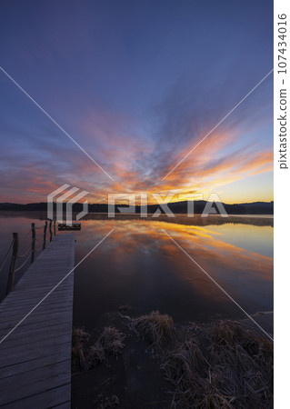 nature reserve Olsina, Sumava National Park, Czech Republic 107434016