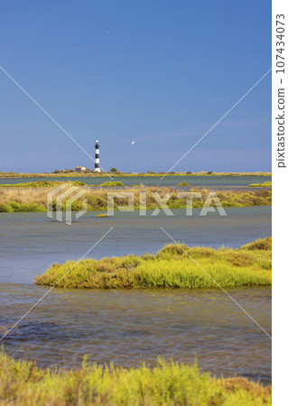 lighthouse Faraman, Salin de Giraud, Provence-Alpes-Cote d'Azur, France 107434073