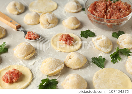 Cooking home food concept with raw dumplings Cooking home food concept with raw dumplings 107434275