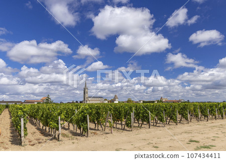 Typical vineyards near Pomerol, Aquitaine, France Typical vineyards near Pomerol, Aquitaine, France 107434411