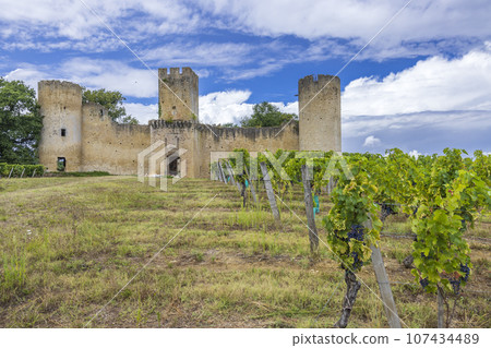 Budos castle (Chateau de Budos) in Sauternes wine region, Gironde departement, Aquitaine, France Budos castle (Chateau de Budos) in Sauternes wine region, Gironde departement, Aquitaine, France 107434489