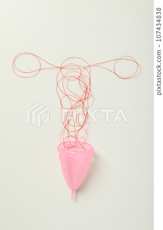 Silhouette of female internal genitals on a white background Silhouette of female internal genitals on a white background 107434838