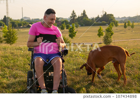 Adult man with injured hands in pink t-shirt plays with domestic dog in green meadow. Owner in wheelchair enjoys sunny day stroll with pet dog Adult man with injured hands in pink t-shirt plays with domestic dog in green meadow. Owner in wheelchair enjoys sunny day stroll with pet dog 107434898