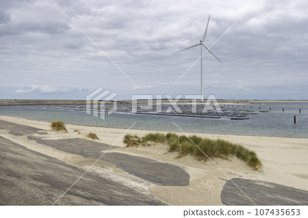 Wind turbines on edge of  national park Oosterschelde, Domburg - Vrouwenpolder, The Netherlands 107435653