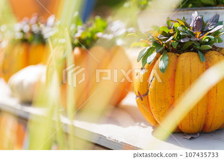 Halloween event image 107435733