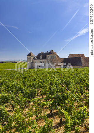 Typical vineyards near Clos de Vougeot, Cote de Nuits, Burgundy, France Typical vineyards near Clos de Vougeot, Cote de Nuits, Burgundy, France 107435840