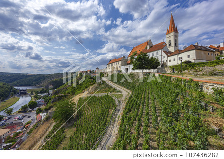 Paradise vineyard in Znojmo town, Southern Moravia, Czech Republic Paradise vineyard in Znojmo town, Southern Moravia, Czech Republic 107436282