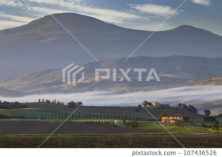 Typical Tuscan morning autumn landscape, Val D'Orcia, Tuscany, Italy Typical Tuscan morning autumn landscape, Val D'Orcia, Tuscany, Italy 107436526