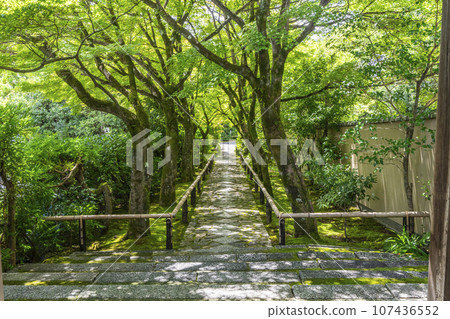 光越寺參道、藍色秋葉隧道（京都市北區高嶺光越町） 107436552